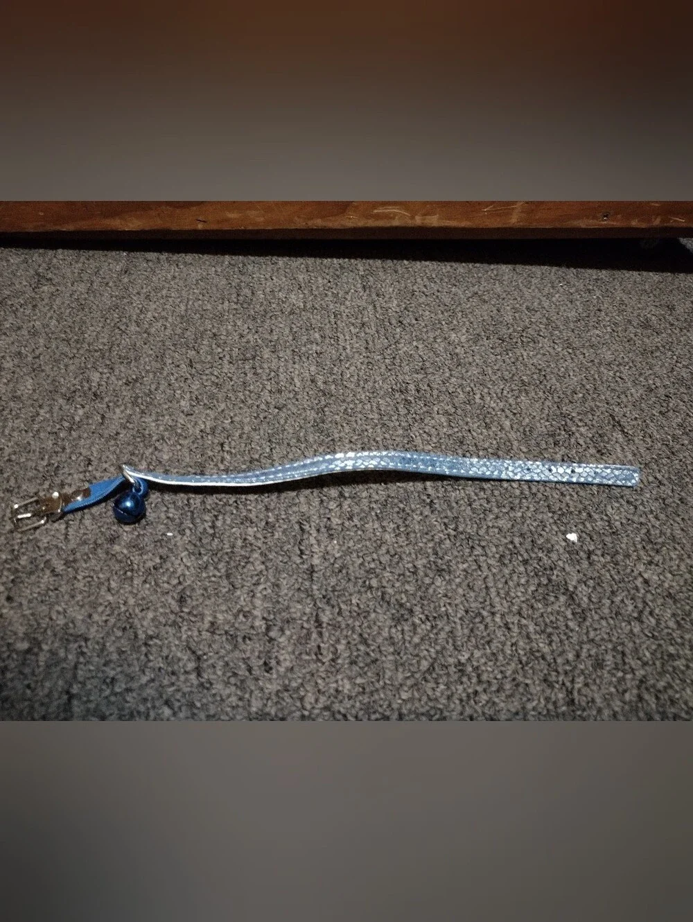 Sparkling Blue Braided Cat Collar with Bell